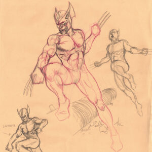 Wolverine study