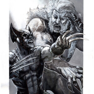 Wolverine VS Sabretooth