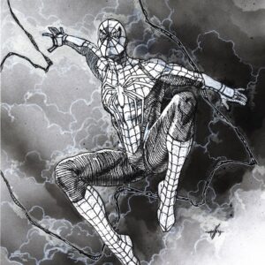 Spiderman costume gioco bianco e nero